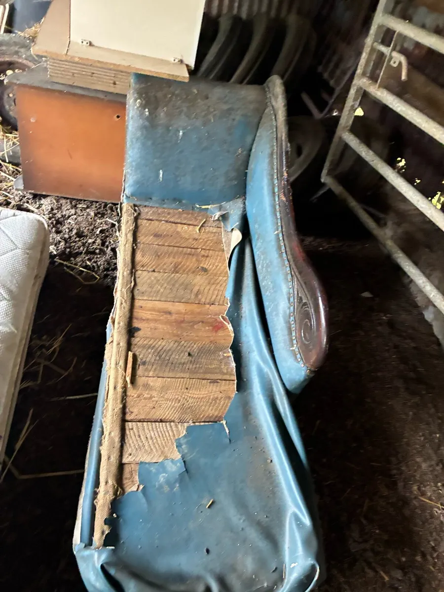 Old couch 🛋️ - Image 4