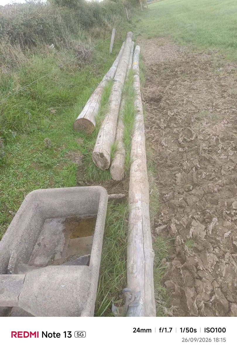 Esb poles - Image 1