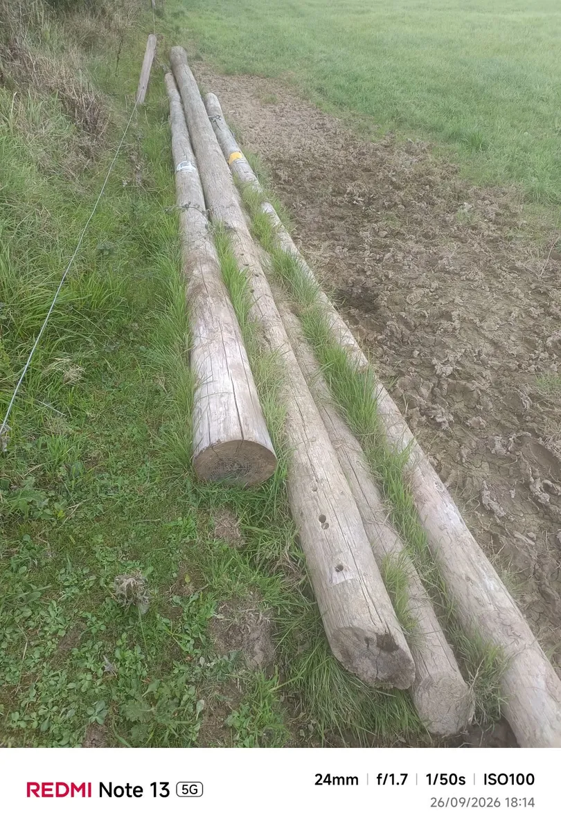 Esb poles - Image 2