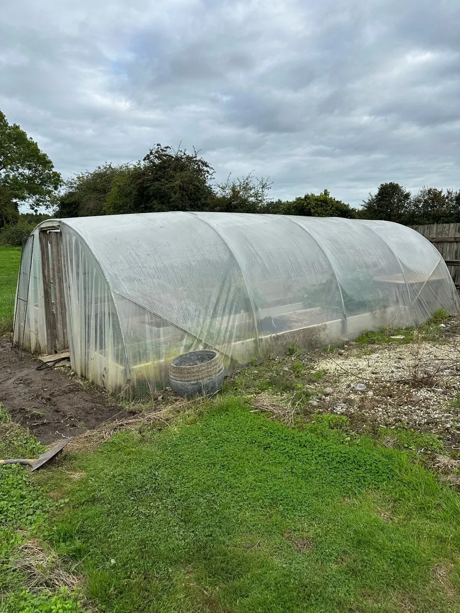 Polytunnel - Image 1