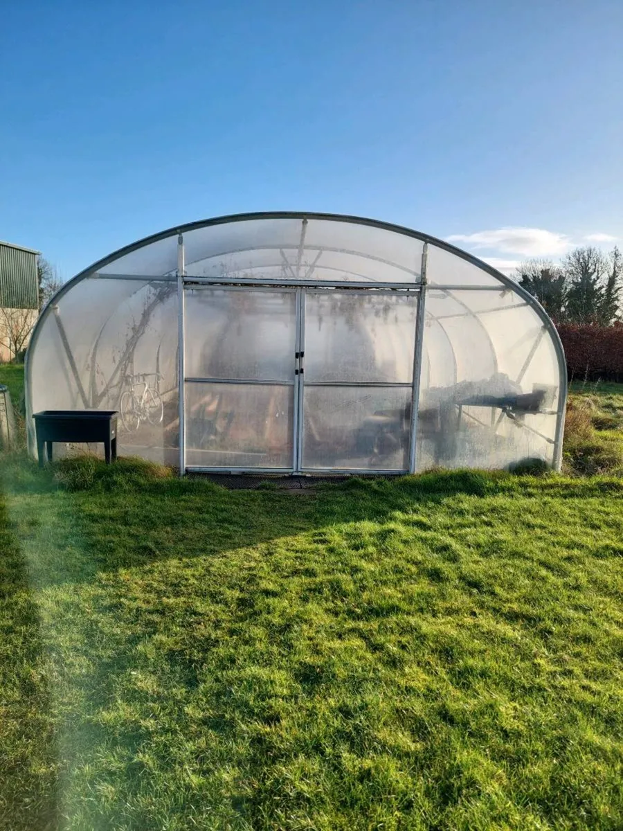 Polytunnel - Image 1