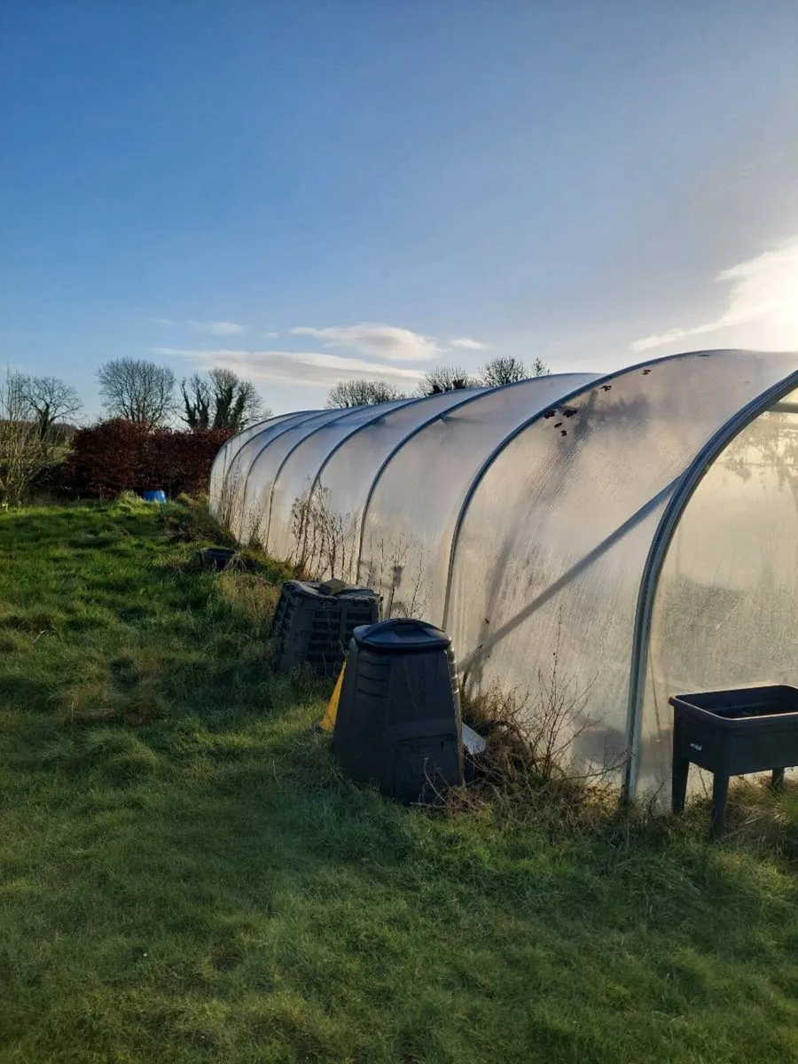 Polytunnel - Image 2