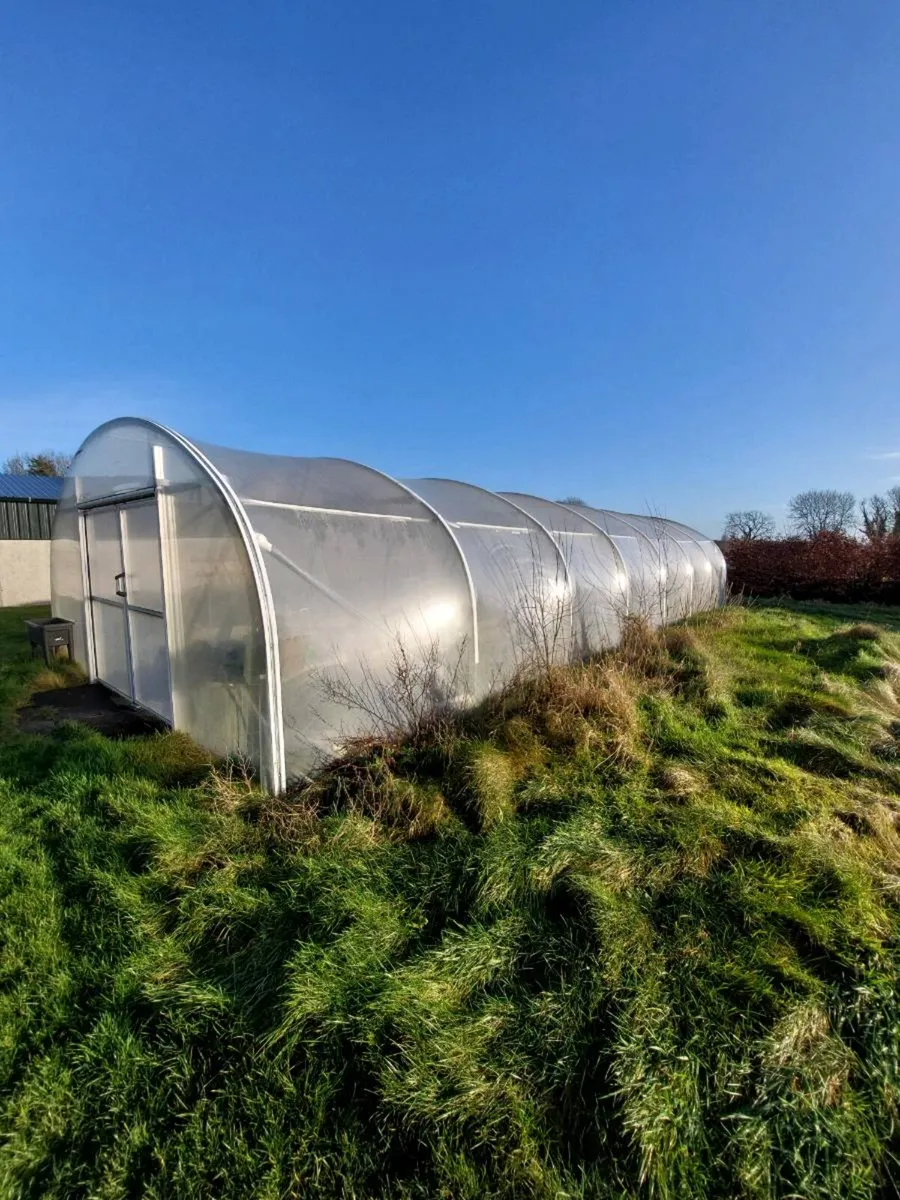 Polytunnel - Image 3