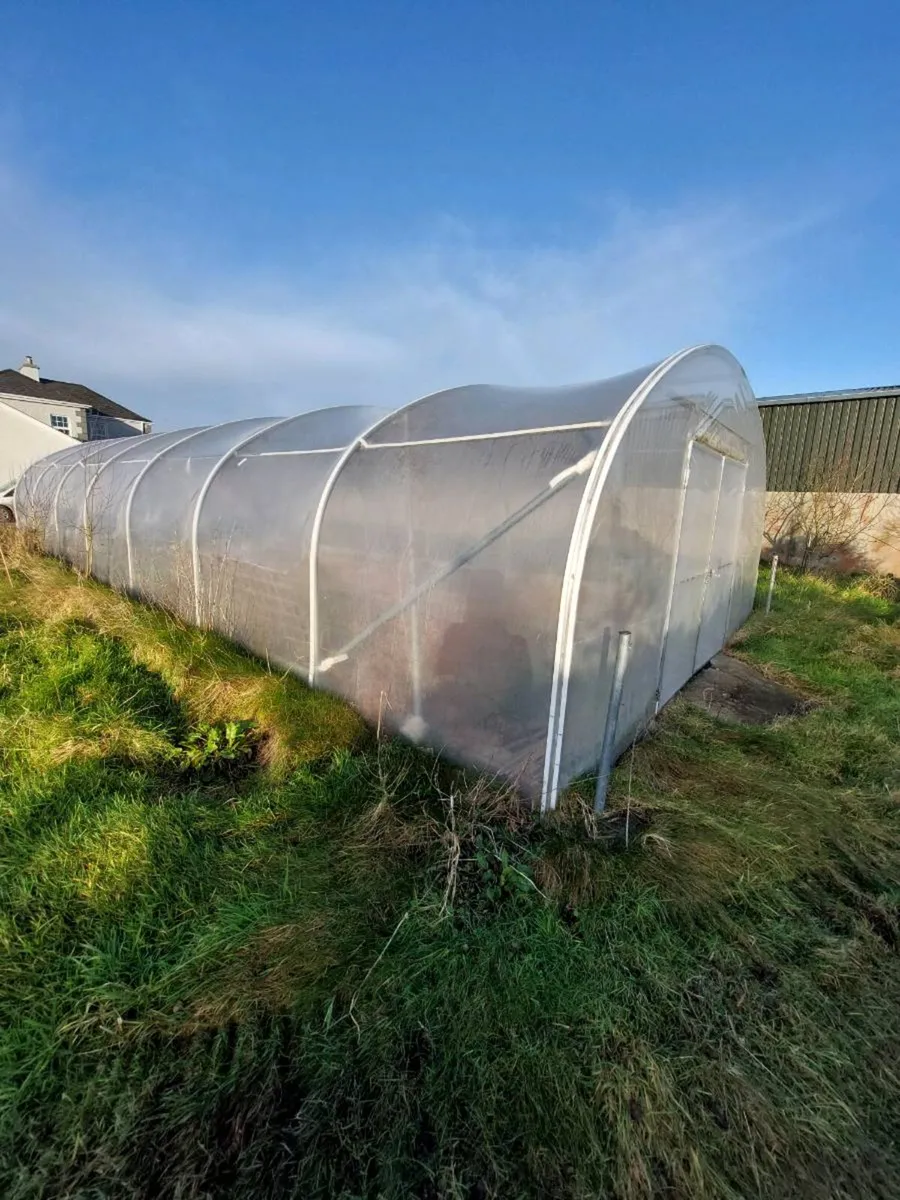 Polytunnel - Image 4