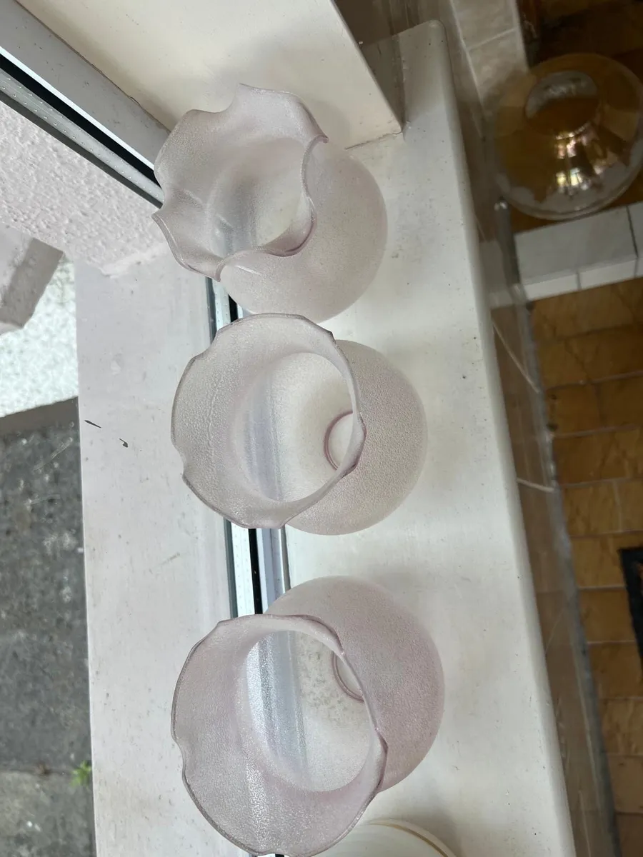 Antique Lamp shades - Image 3