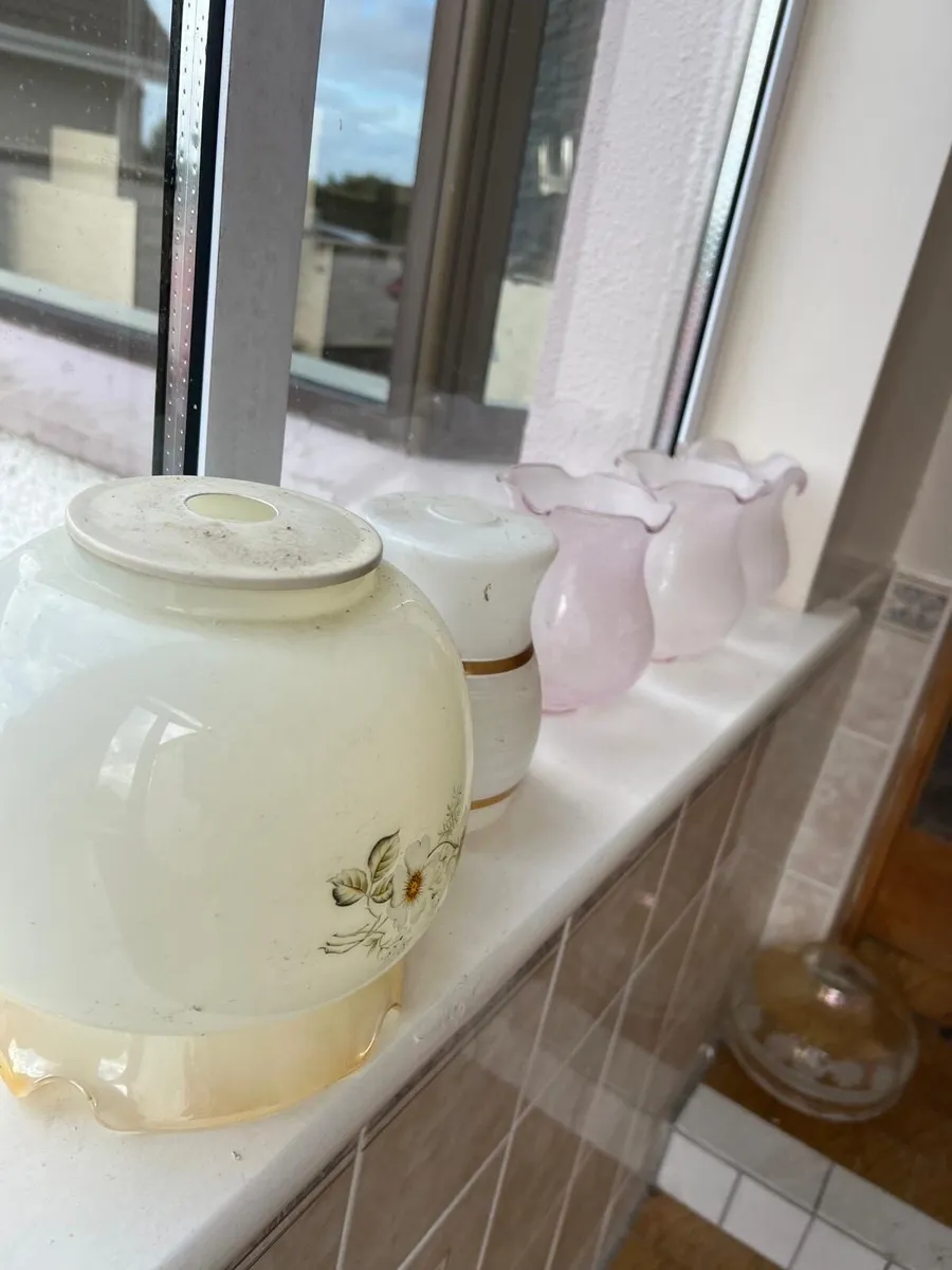 Antique Lamp shades - Image 1