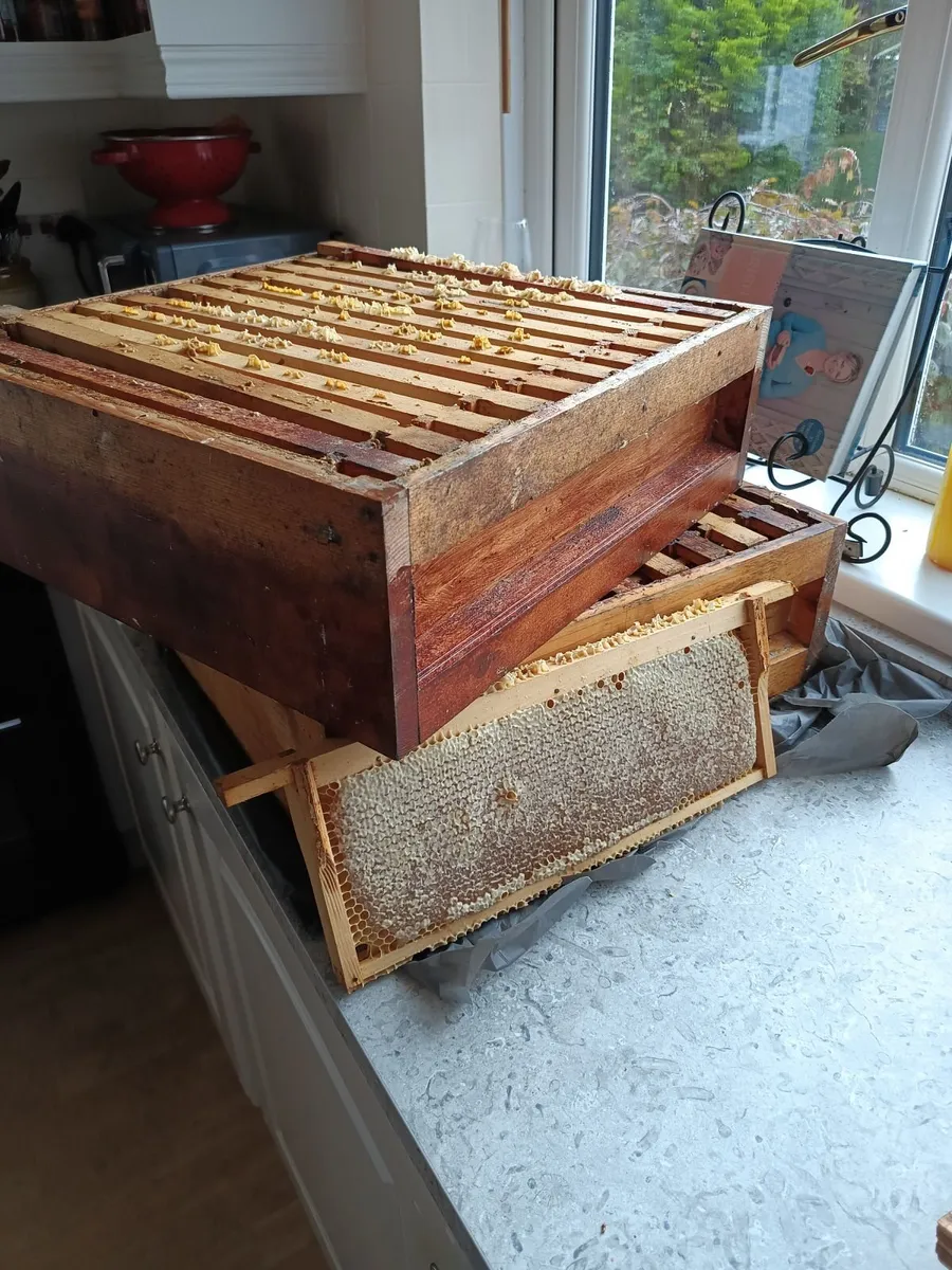 Raw Honey