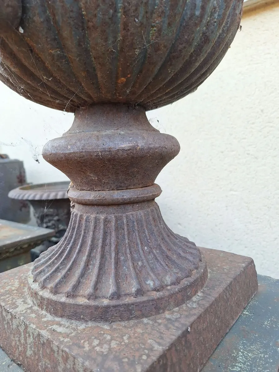 Large Cast Iron Urns on Pedestals fo Sale - Image 3