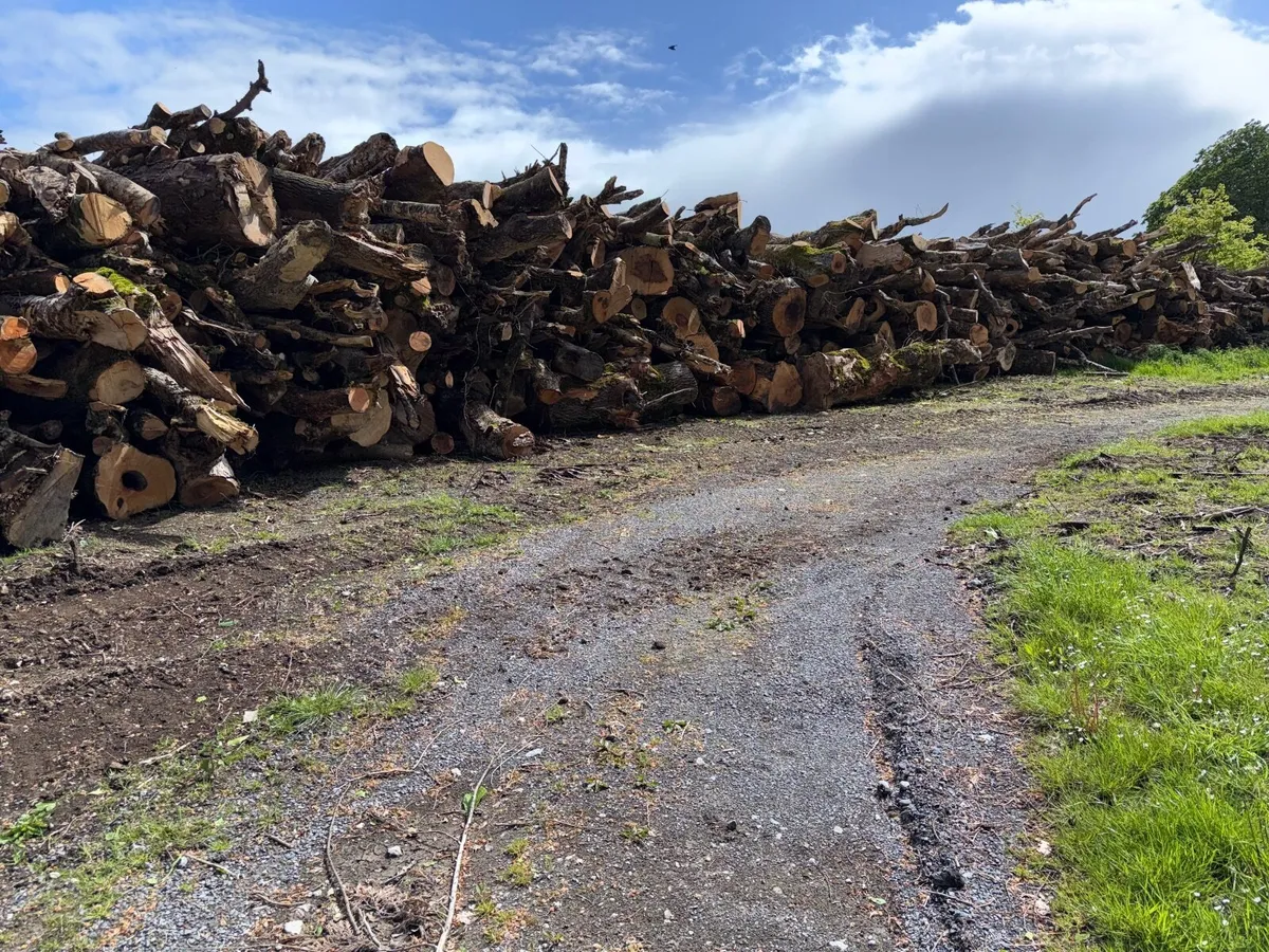 Timber - Image 2