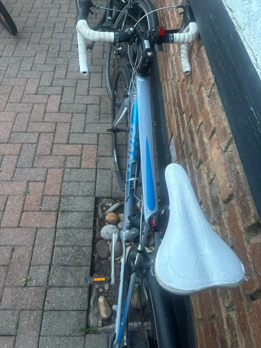 Adult bike (racer) - Image 3