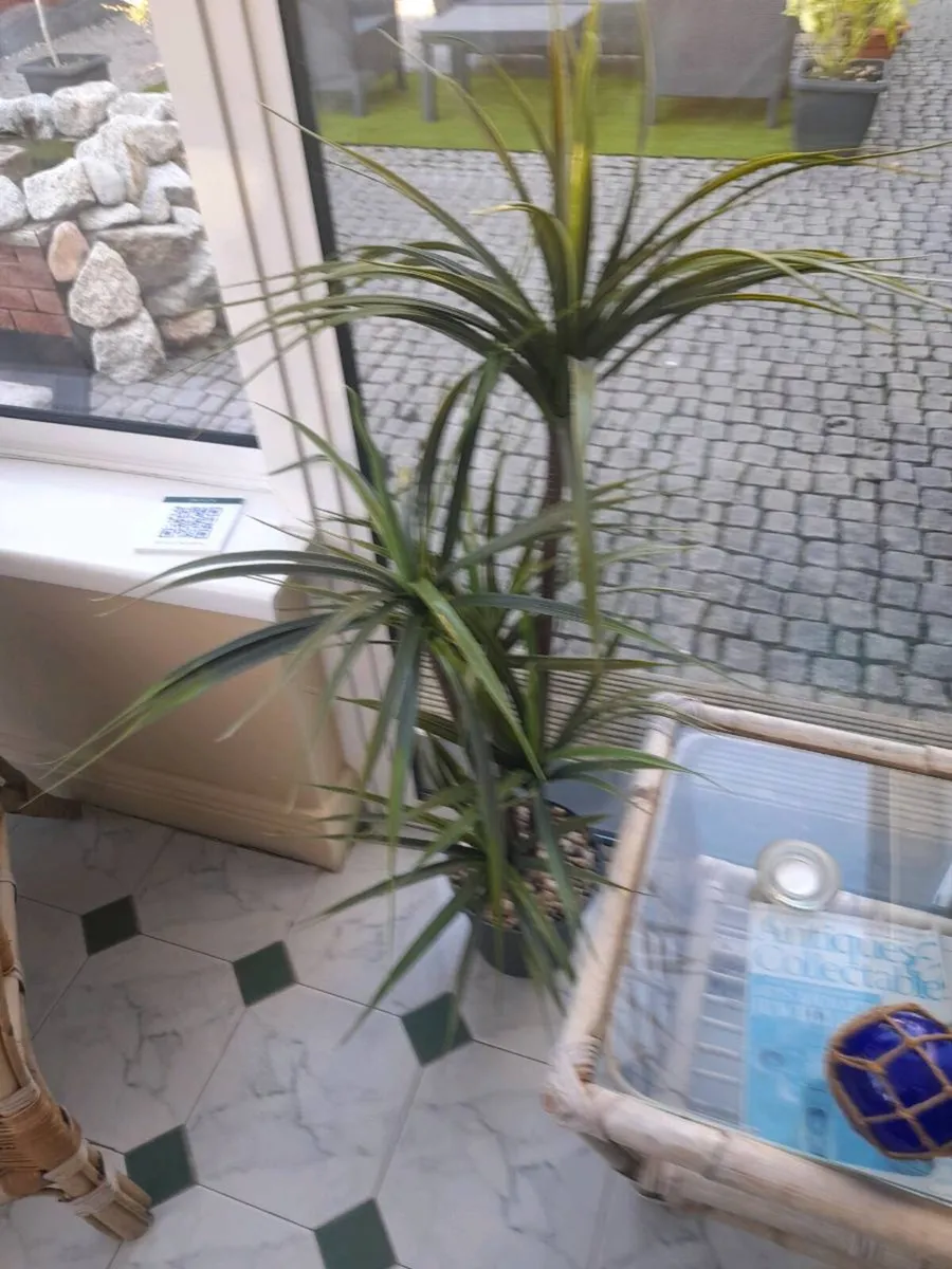 Artifical plants - Image 1