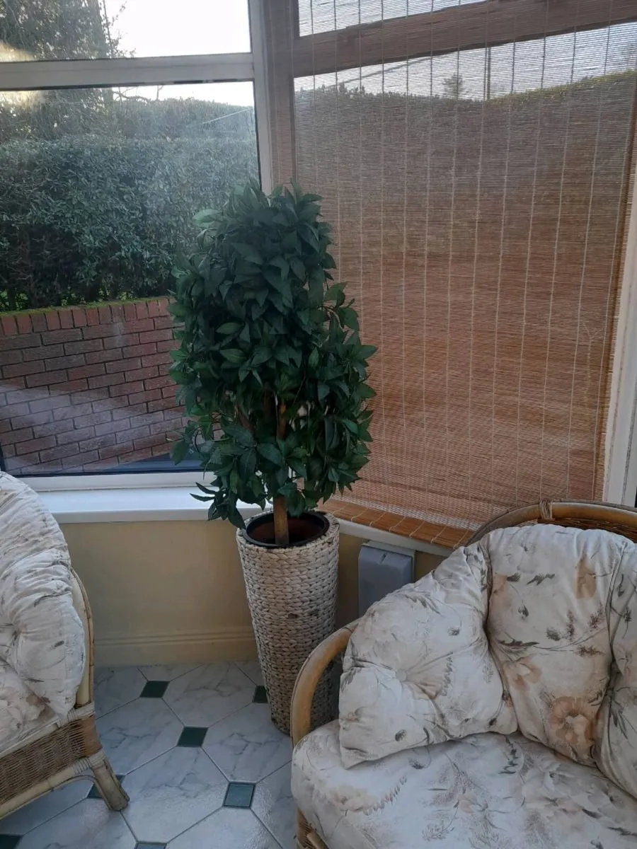 Artifical plants - Image 2