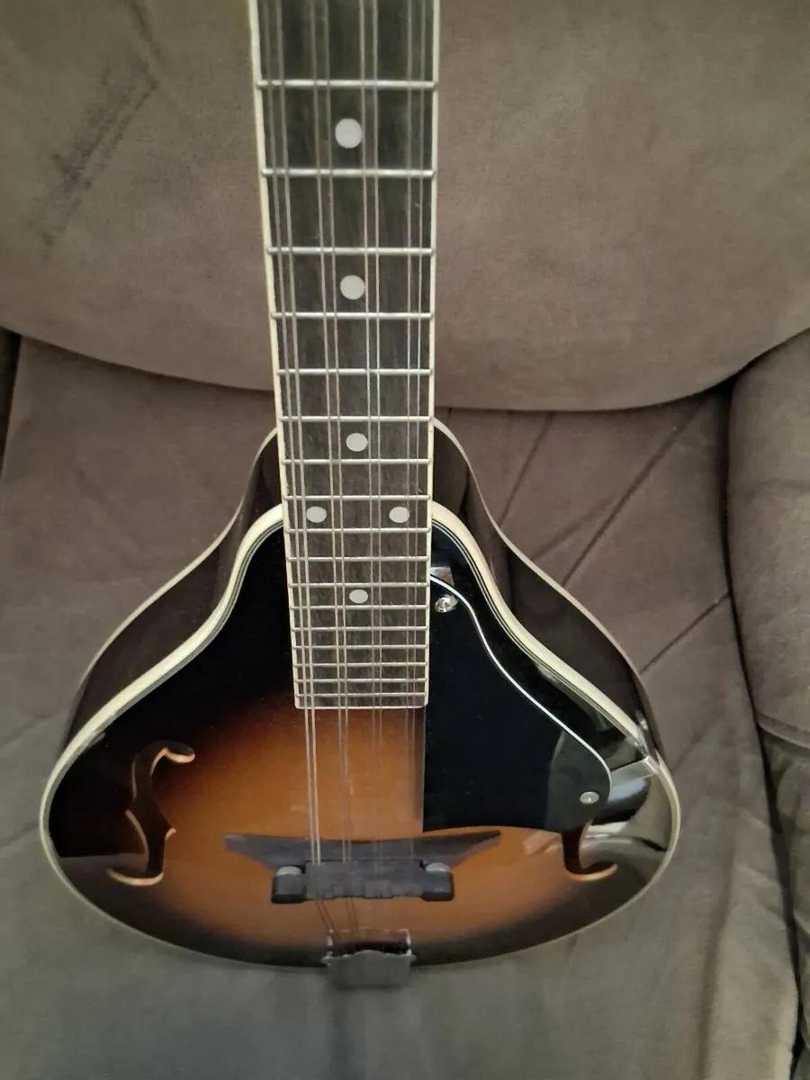 Mandolin. - Image 3