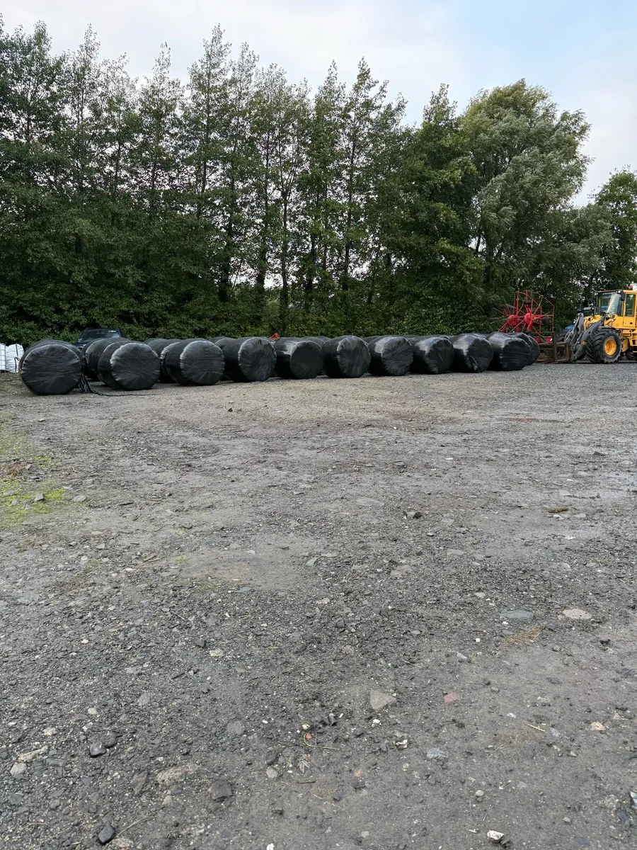 Silage bales