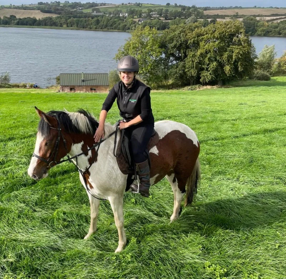 Irish sport horse / all rounder - Image 3
