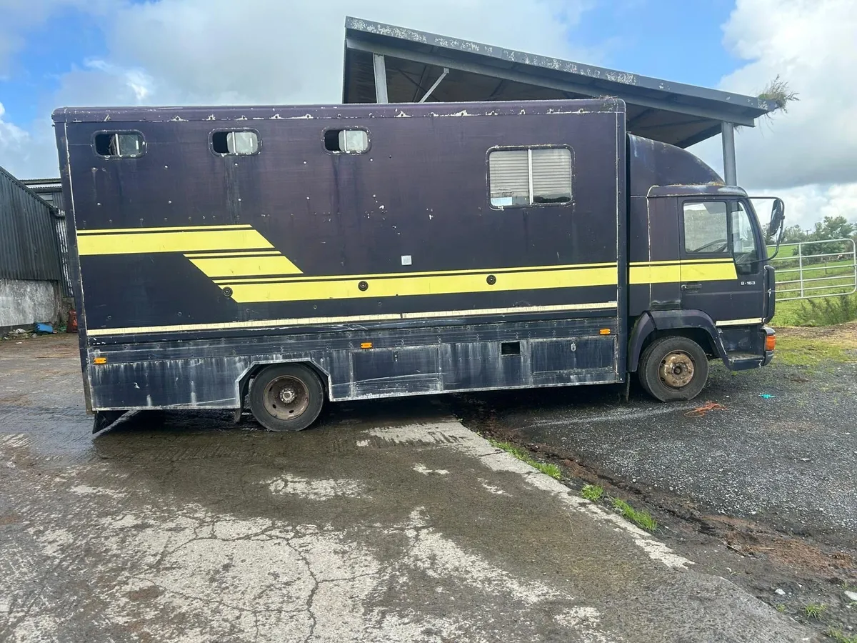 MAN 816.3 horse truck - Image 1