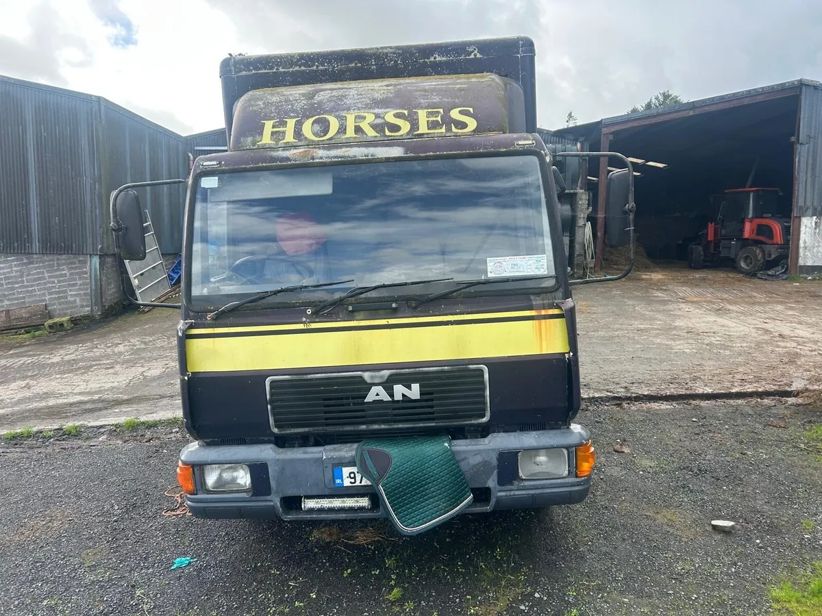 MAN 816.3 horse truck - Image 4