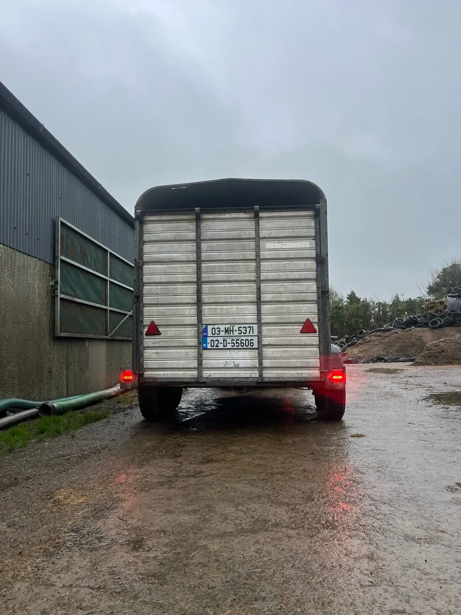 12ft ifor williams - Image 2