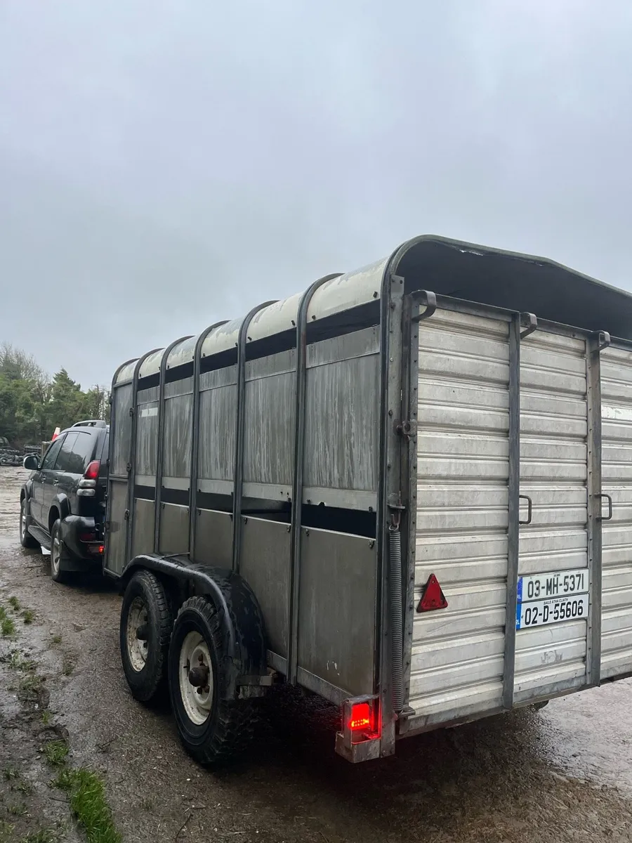 12ft ifor williams - Image 3