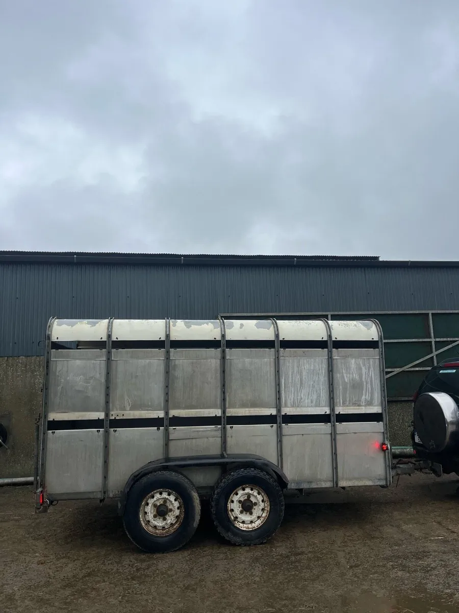 12ft ifor williams - Image 1
