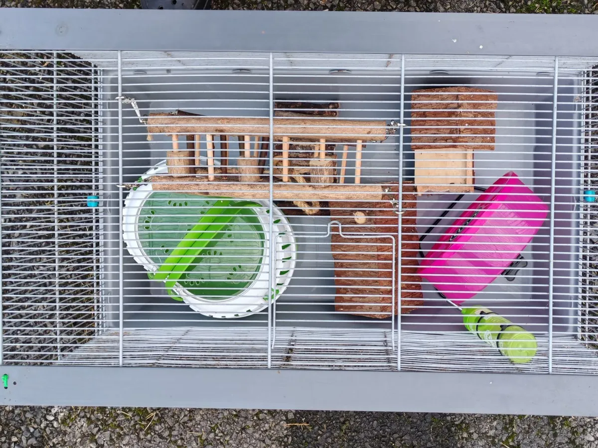 Large Hamster cage - Image 3
