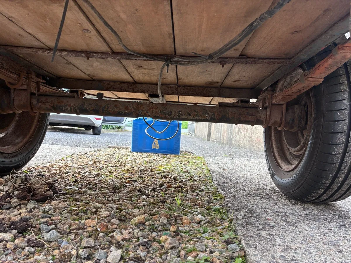 Dog Trailer - Image 4