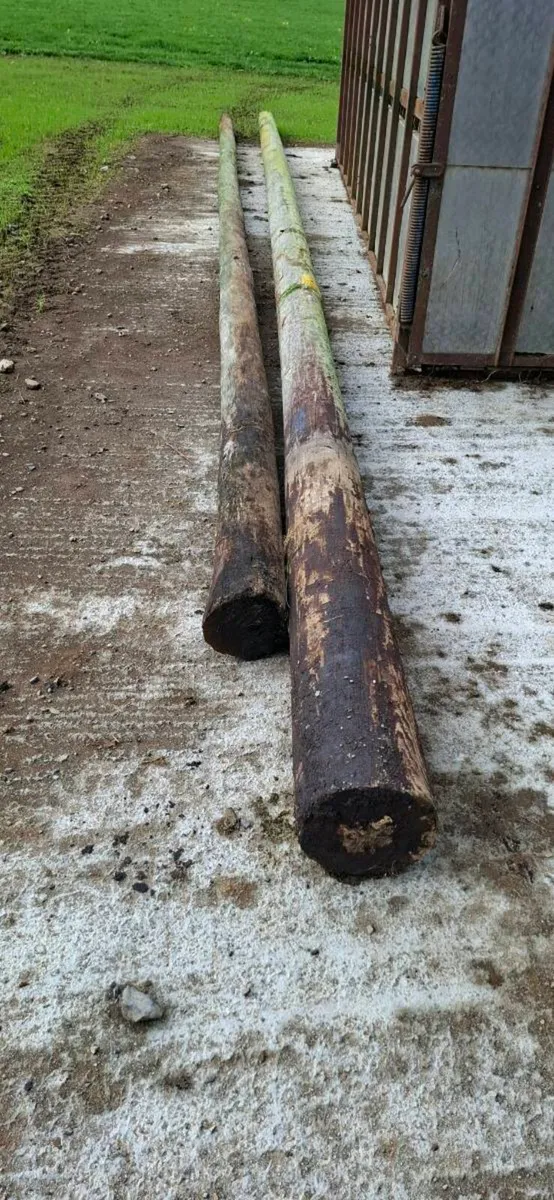 Esb poles - Image 1