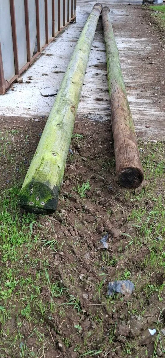 Esb poles - Image 3