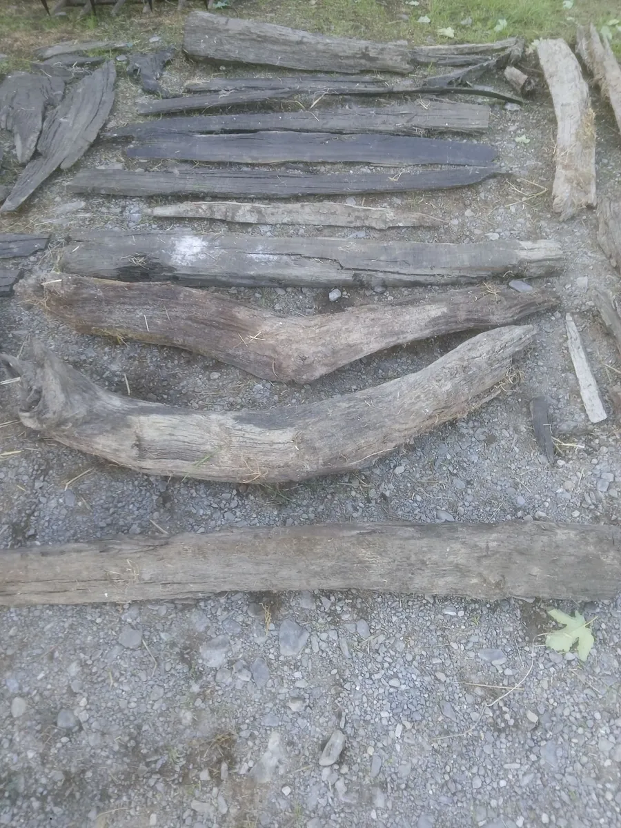 Bog Oak - Image 3