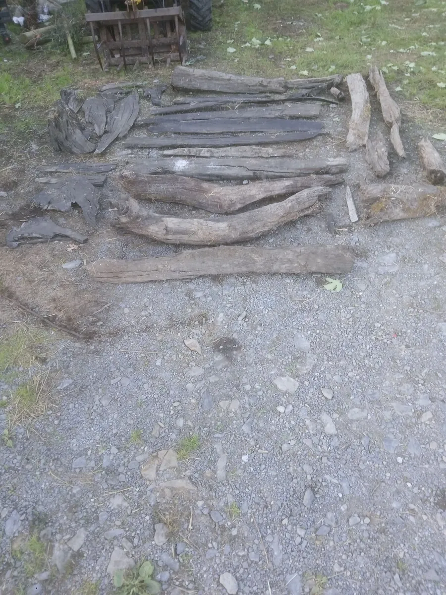Bog Oak - Image 1