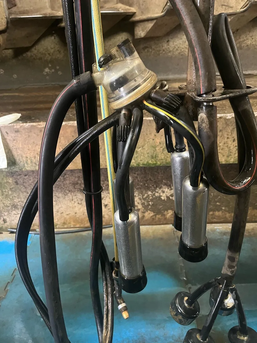12 unit milking machine - Image 2