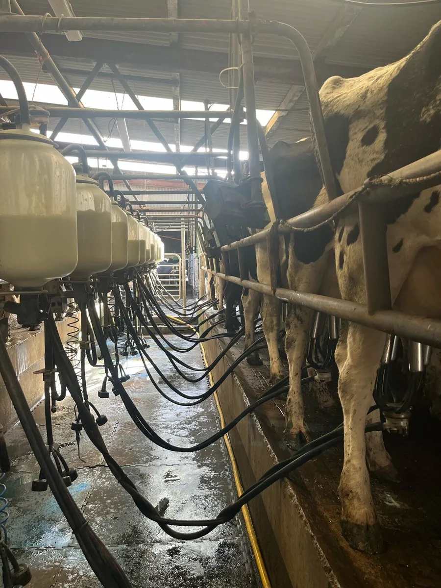 12 unit milking machine - Image 1