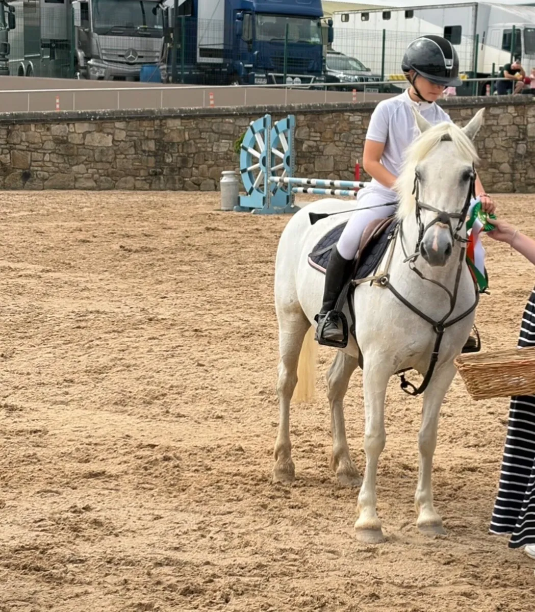128 Pony - Image 1