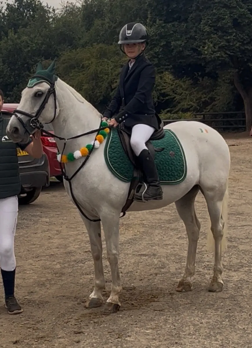 128 Pony - Image 2