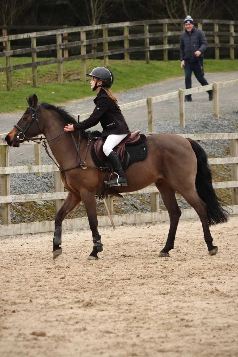 Ponies - Image 3