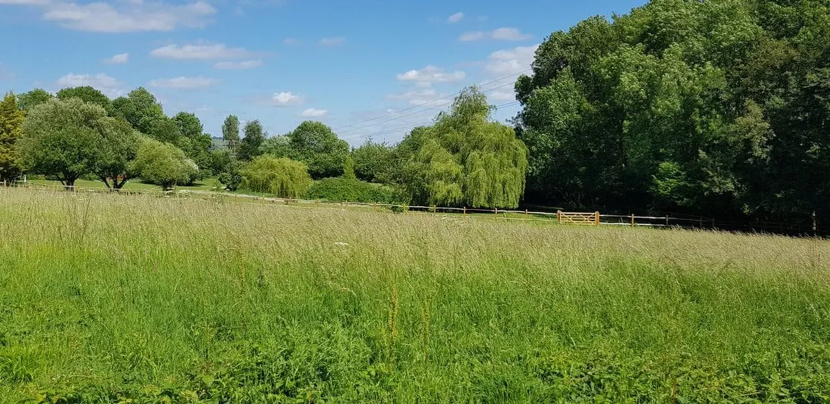 Grass for Sale & Hay for Sale