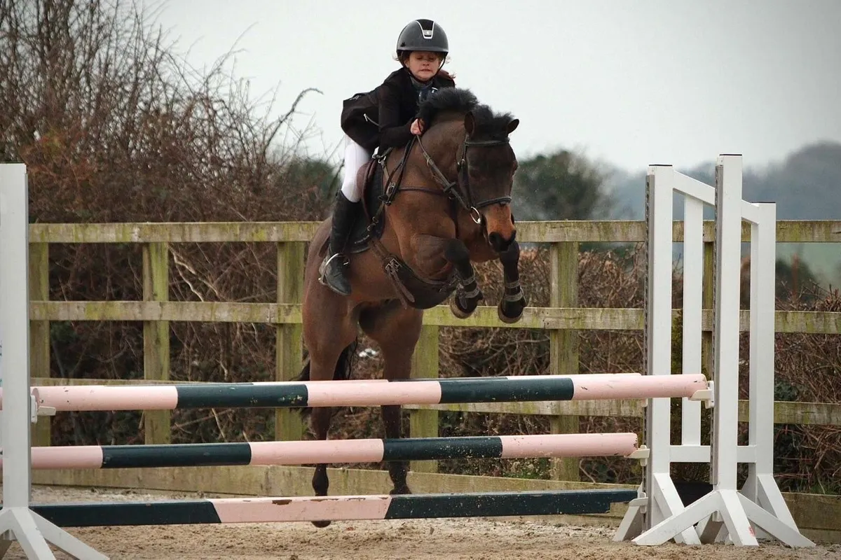 Ponies - Image 1