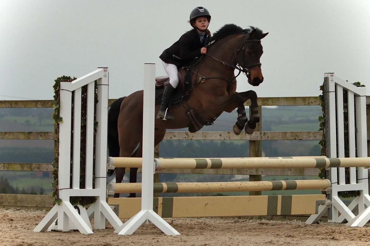 Ponies - Image 2