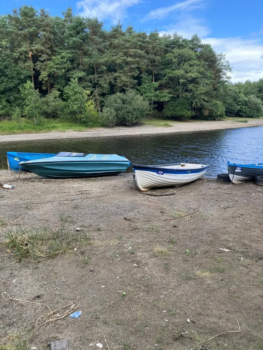 Shakespeare Mini Clubman fiberglass speedboat - Image 4