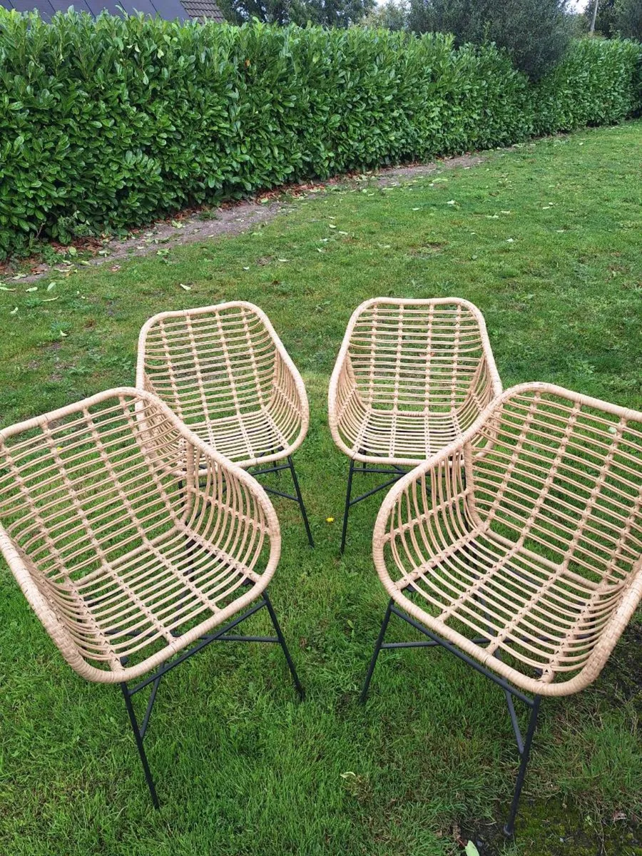 4x Meadows and Byrne Chairs - Image 1