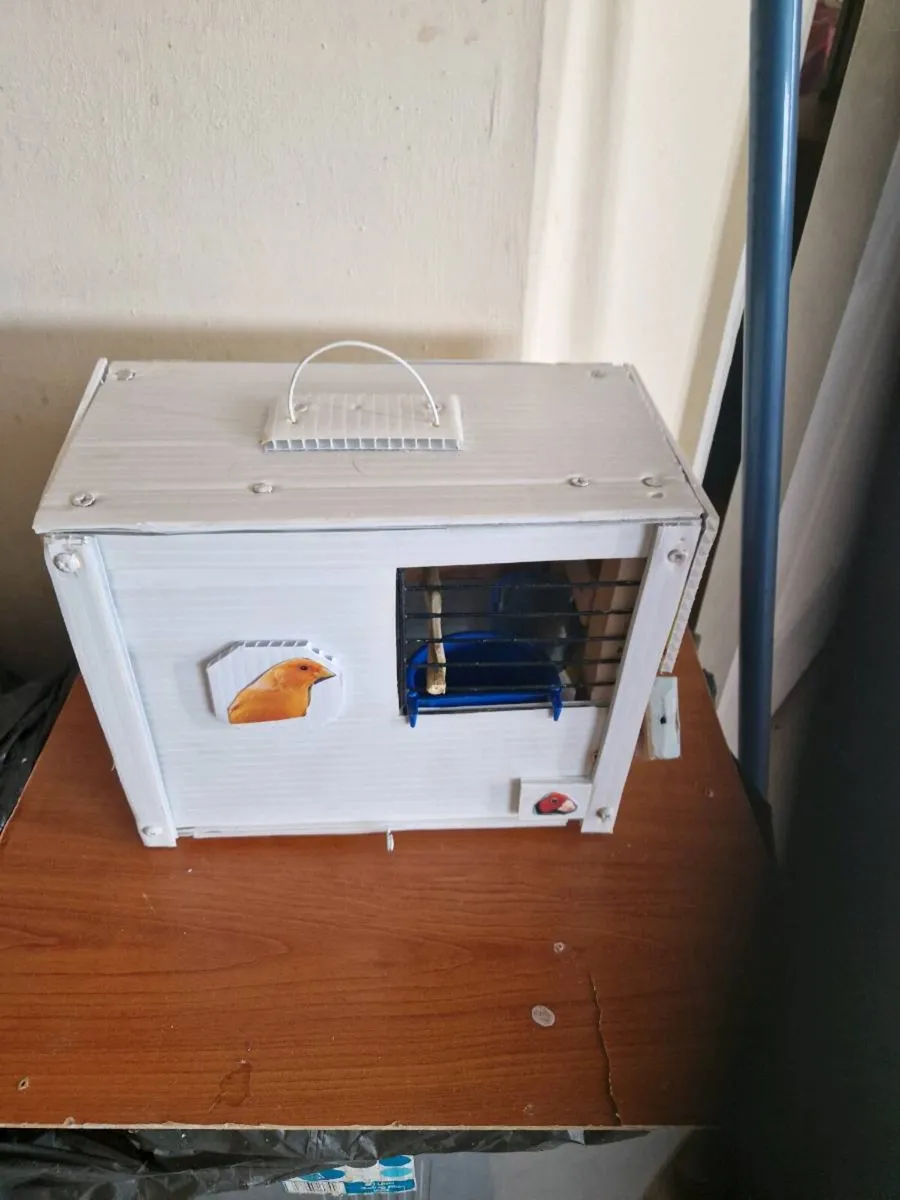Transport box and budgie - Image 2