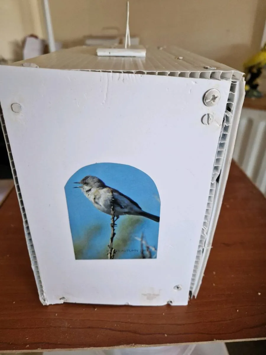 Transport box and budgie - Image 4