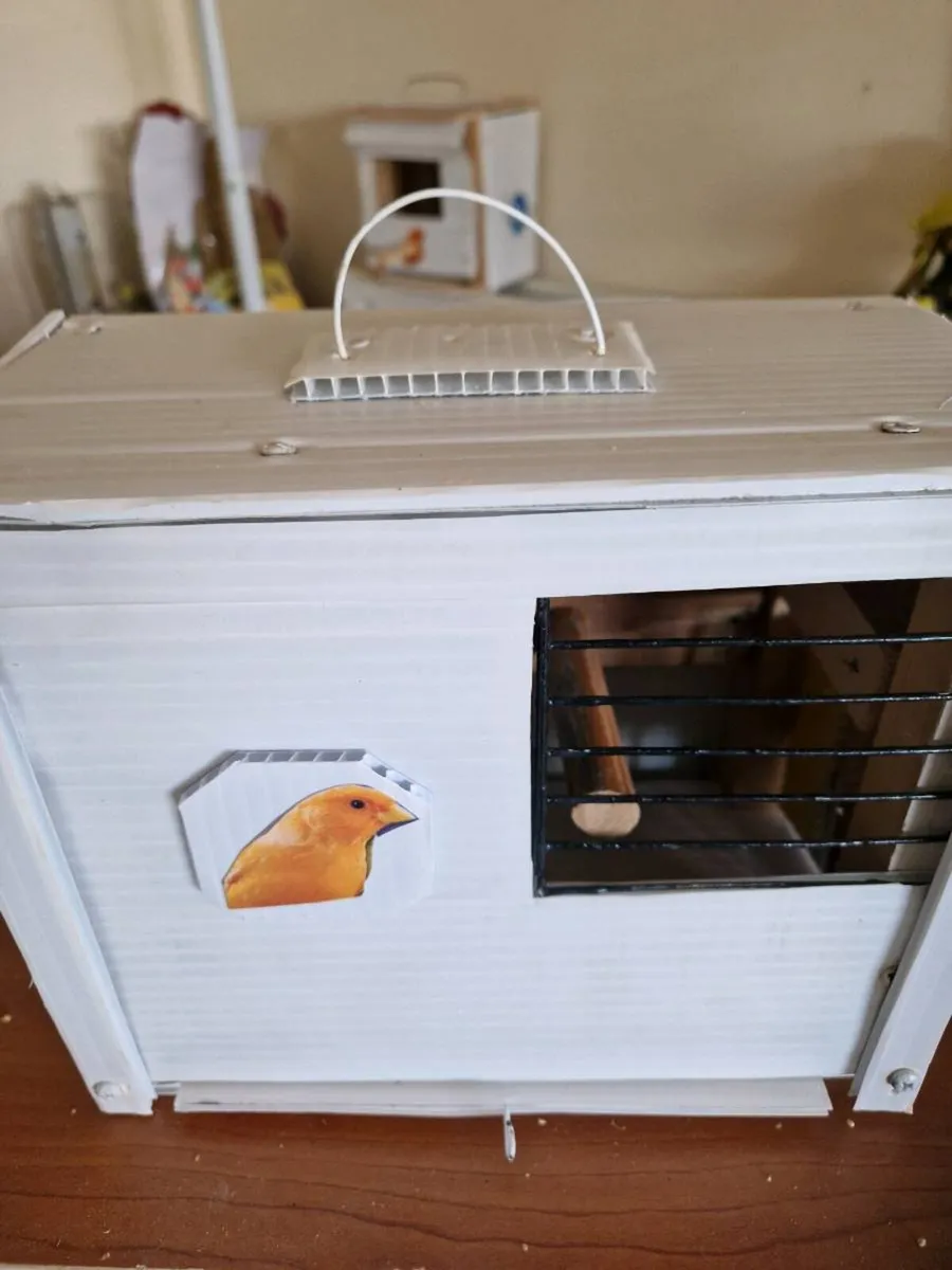 Transport box and budgie - Image 4