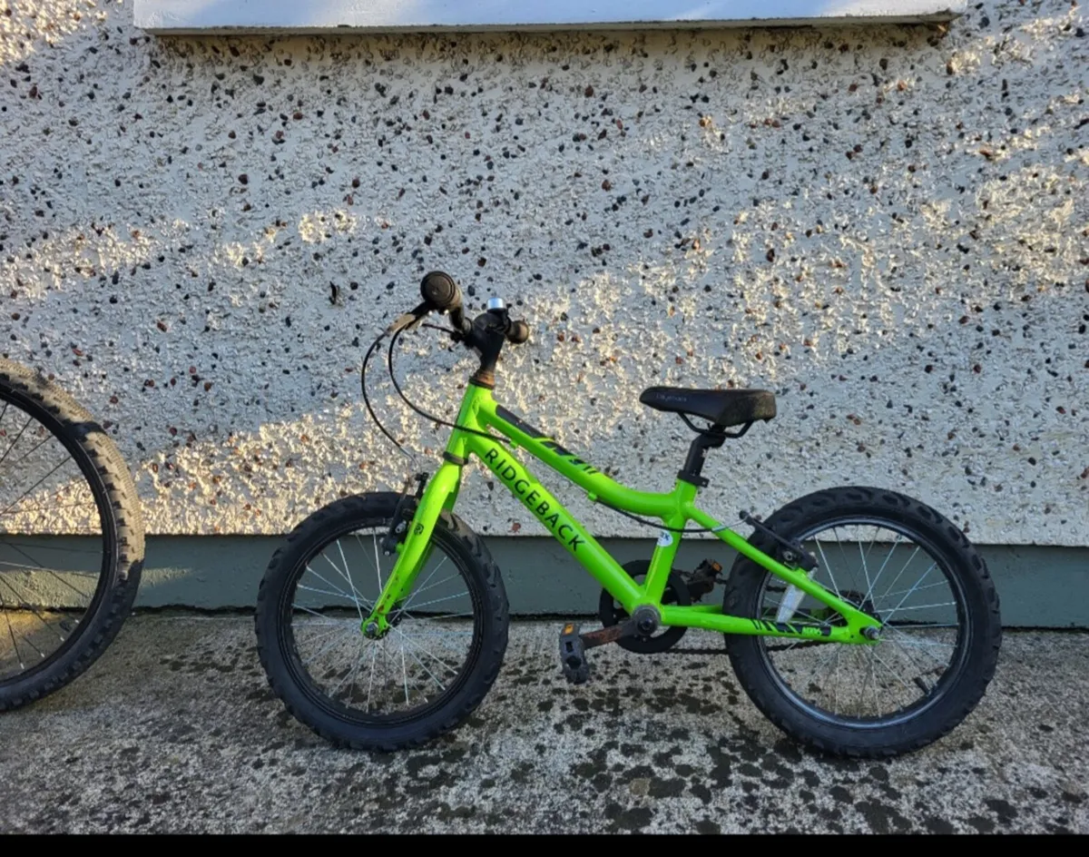 Ridgeback MX16 - Image 1