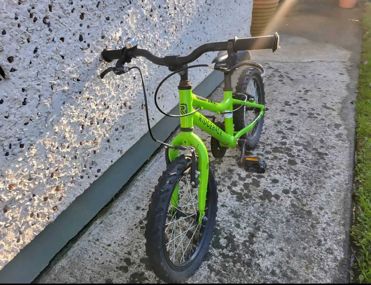 Ridgeback MX16 - Image 2