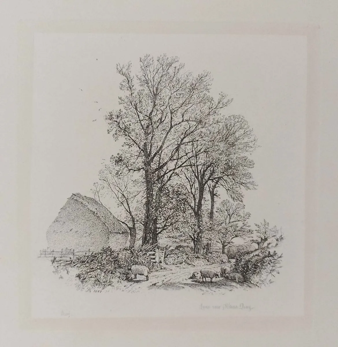 Lane Near Herne Bay Etching Robert Brandard - Image 2
