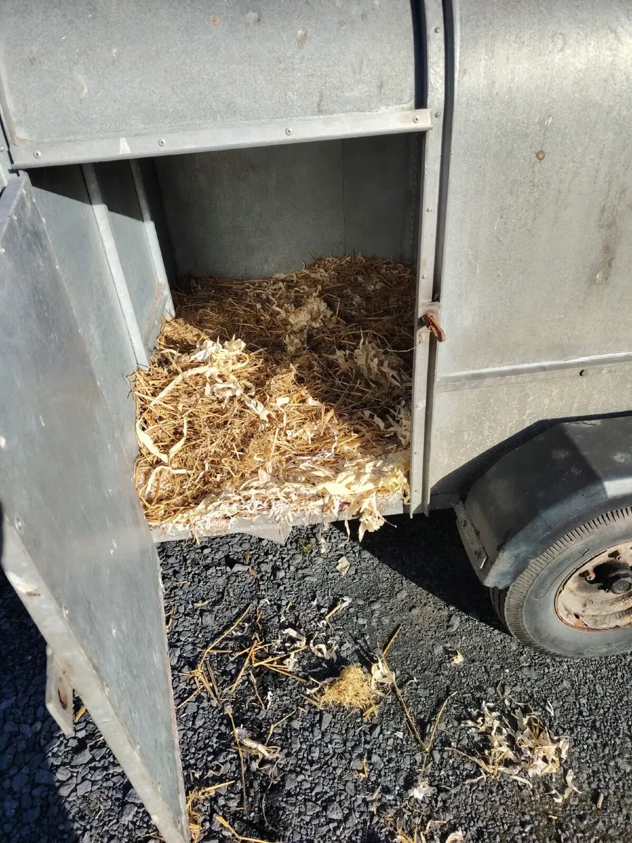 Dog Trailer - Image 4