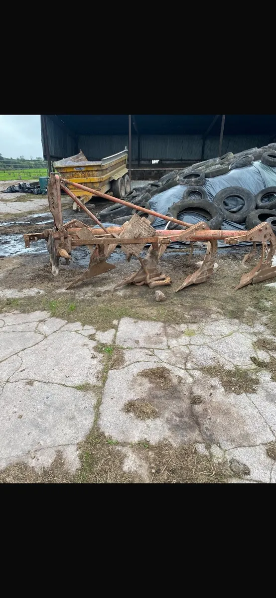 Shed clear out - Image 1