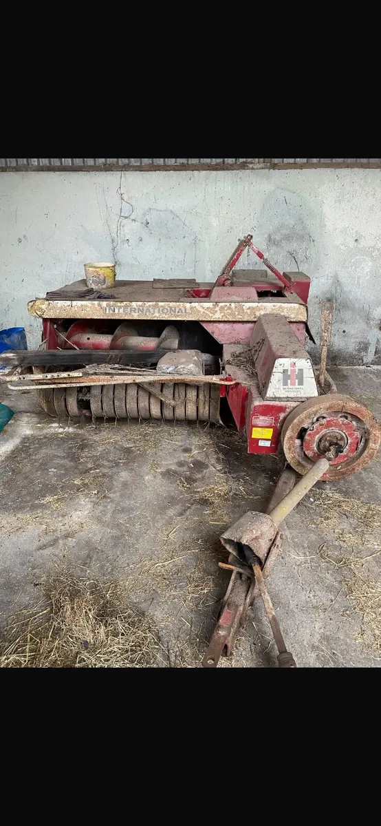 Shed clear out - Image 3