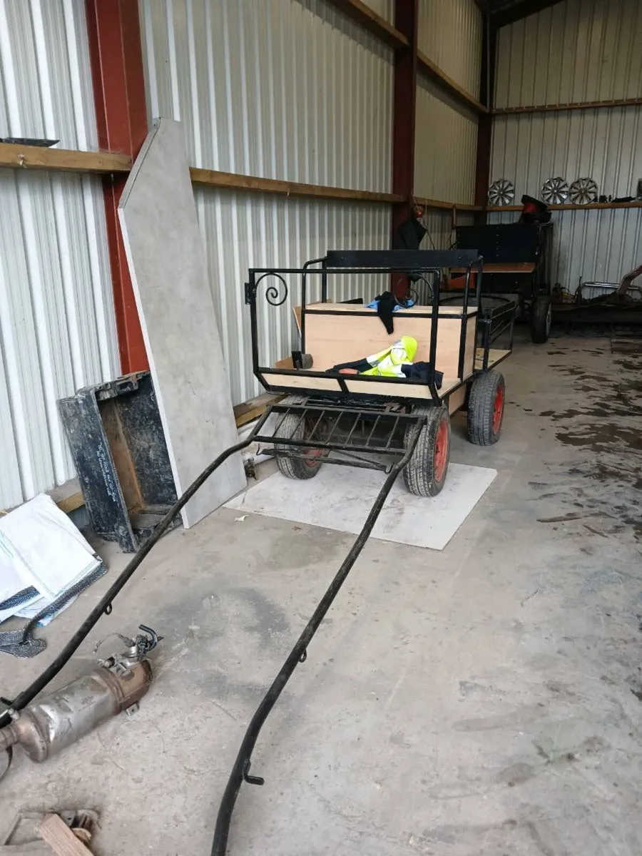 4 wheeler cart - Image 1